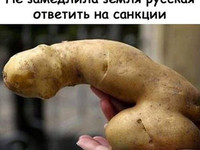 Ответ на санкции