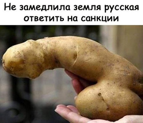 Ответ на санкции