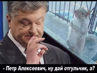 Украинский президент Порошенко и его работяга белочка.